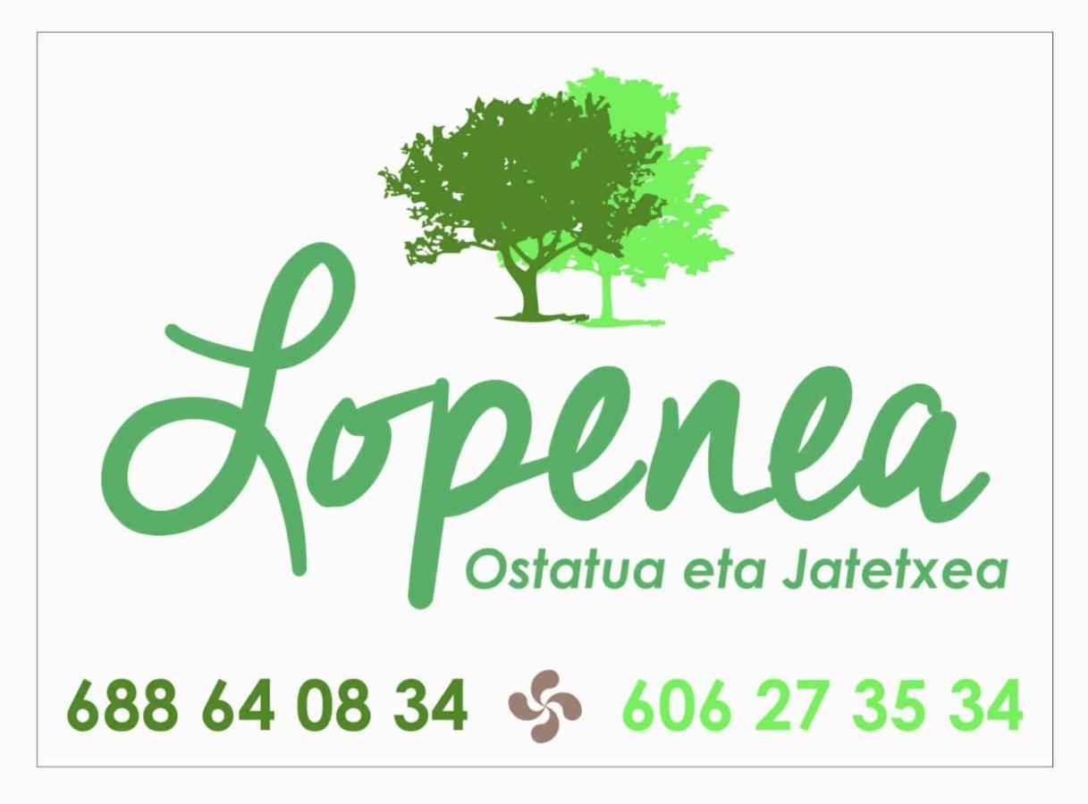Hostal-Cicloturismo Lopenea Leitza  Eksteriør bilde